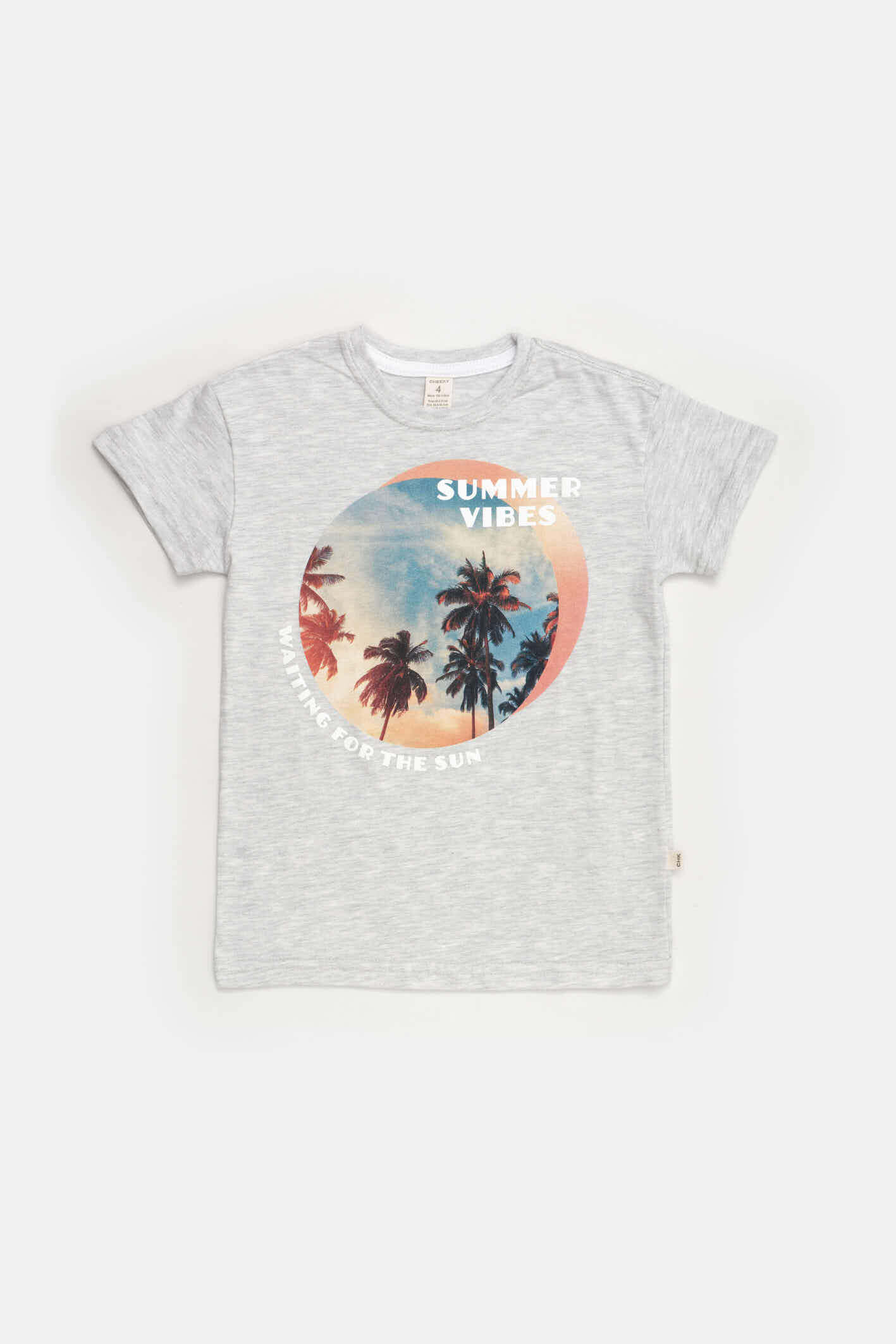 REMERA MC JAKE 4-14
