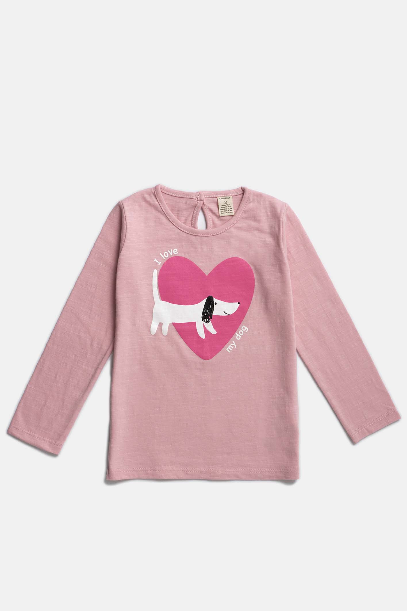 REMERA POWYS 1-3