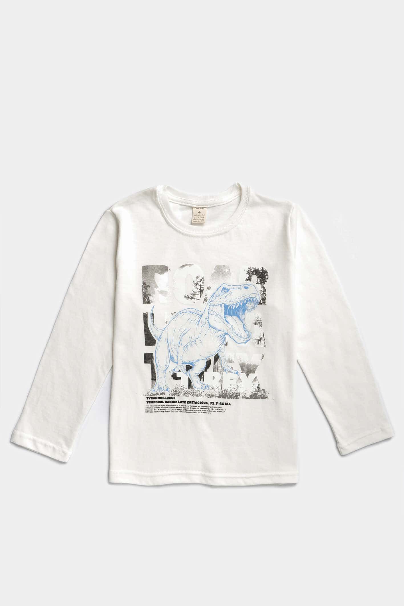 REMERA NED 4-12