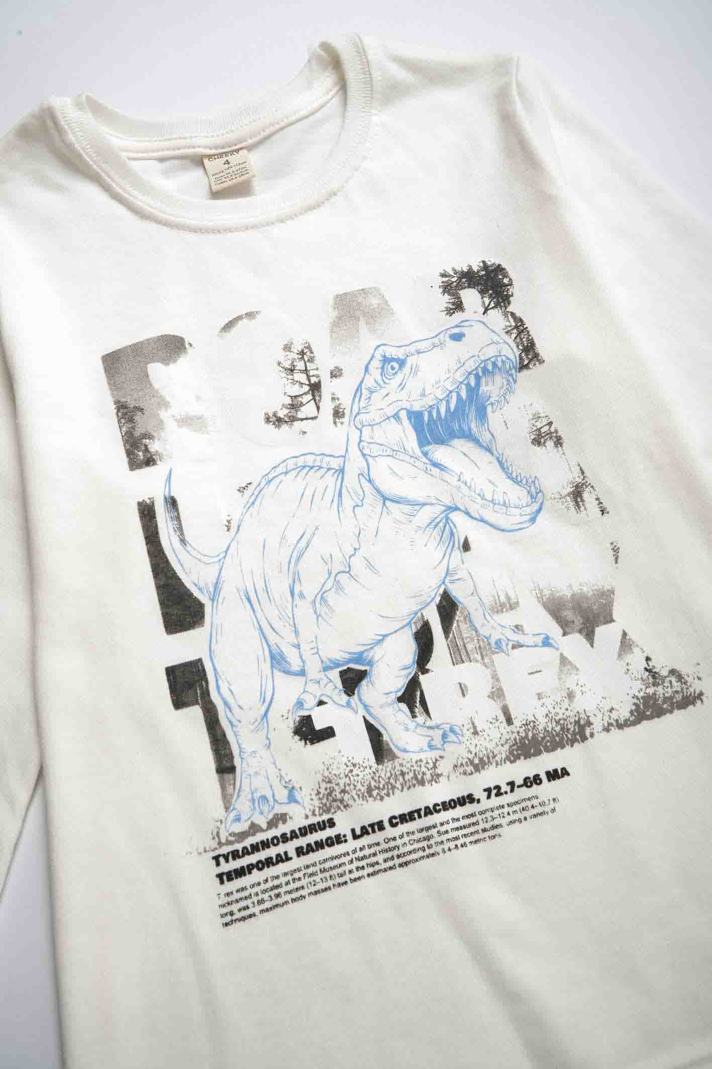 Remera estampada Ned 4-12