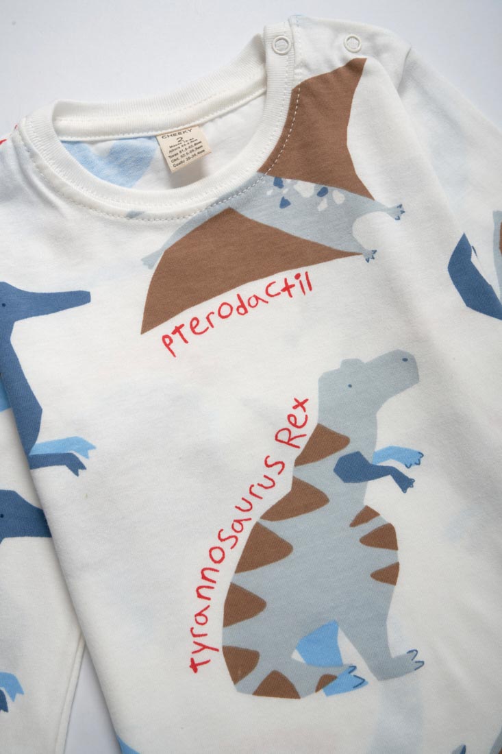 Remera estampada Dinos 1-3 de Cheeky