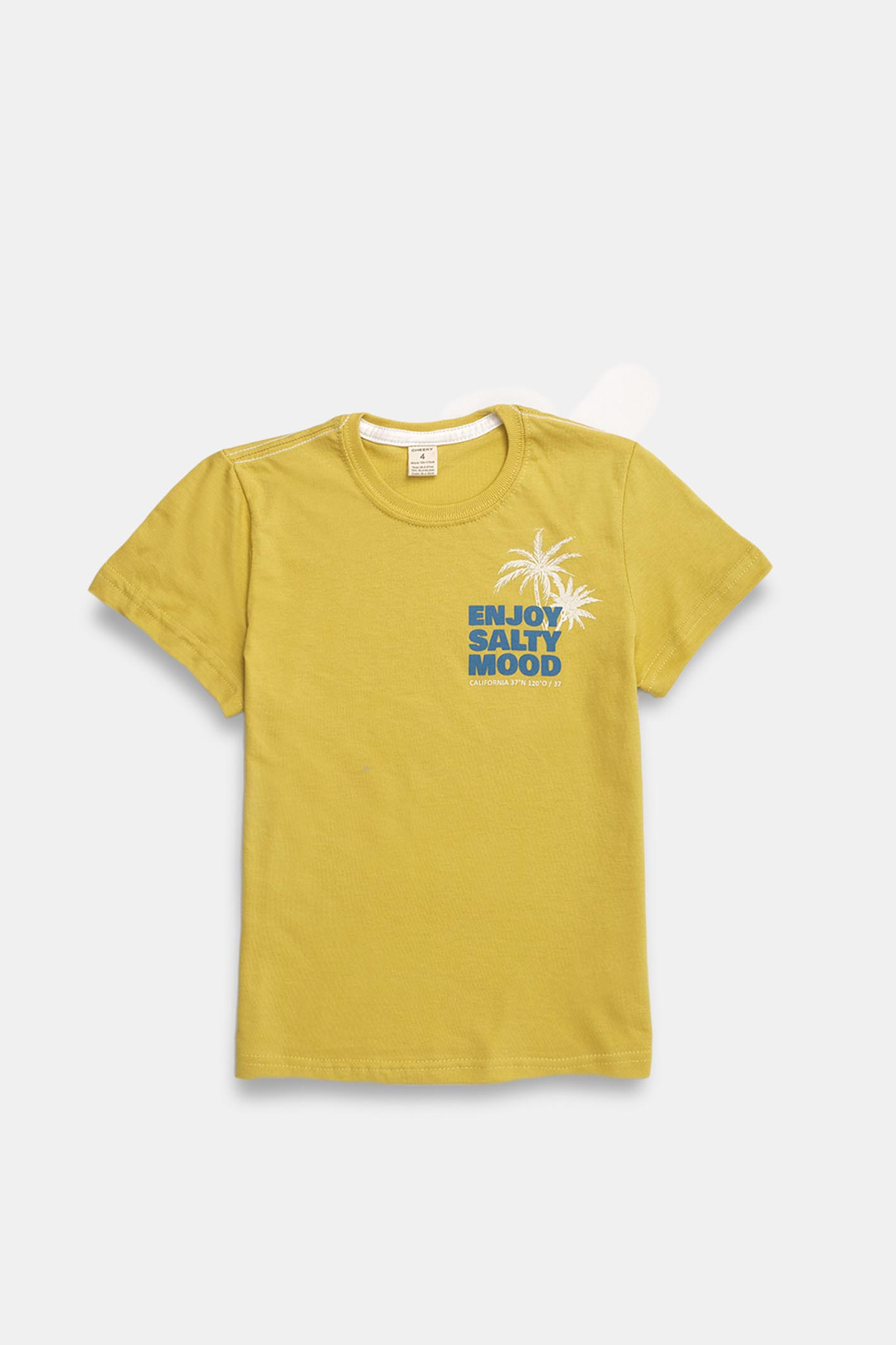 REMERA NIALL 