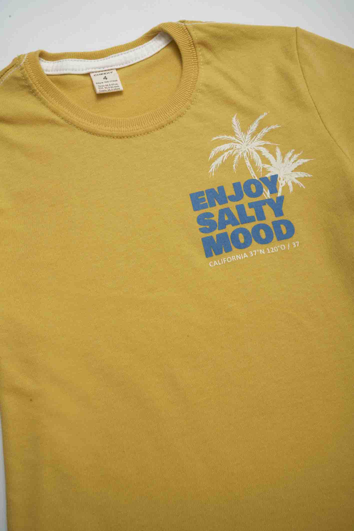 REMERA MC NIALL 4-12