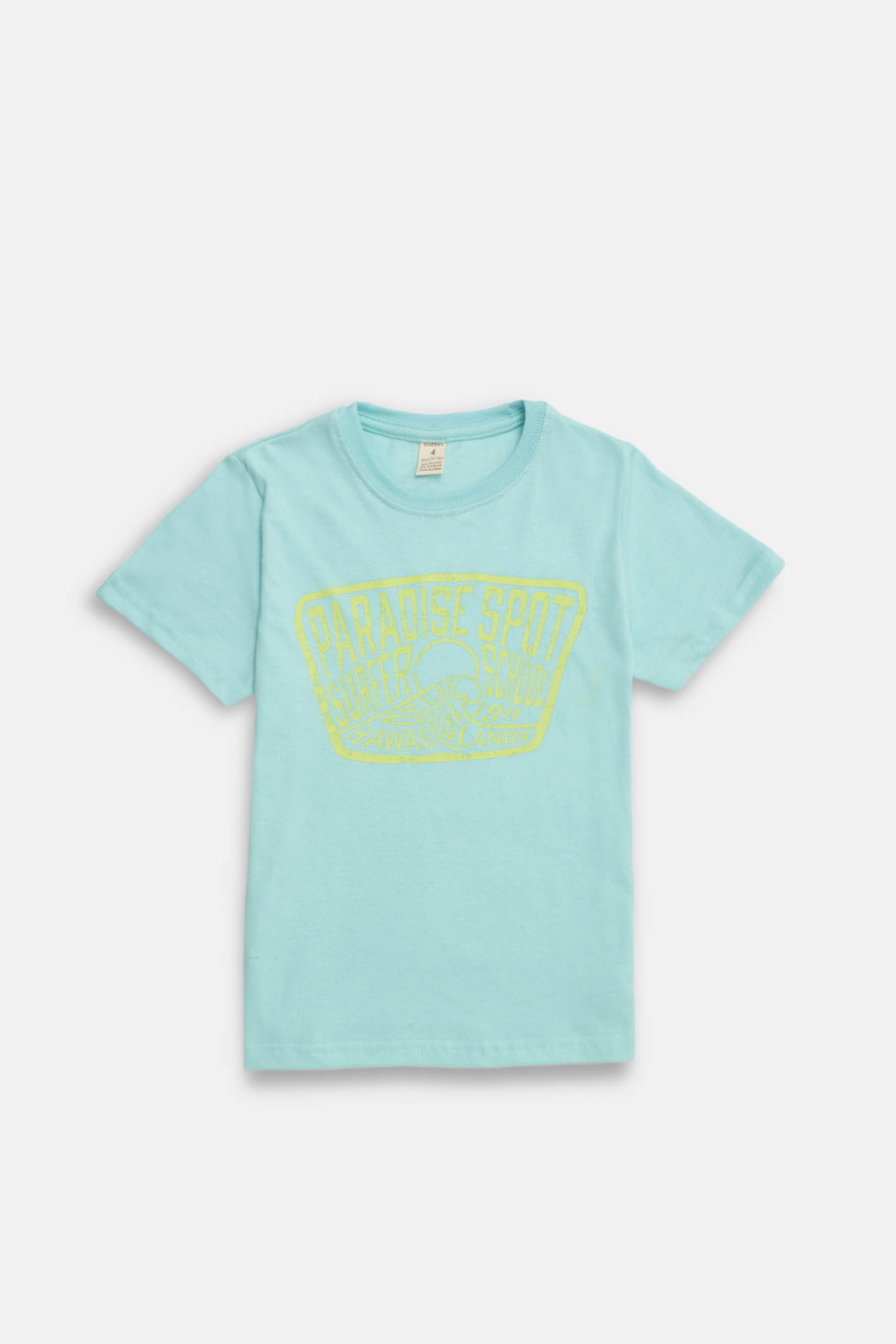 REMERA  IGOR 