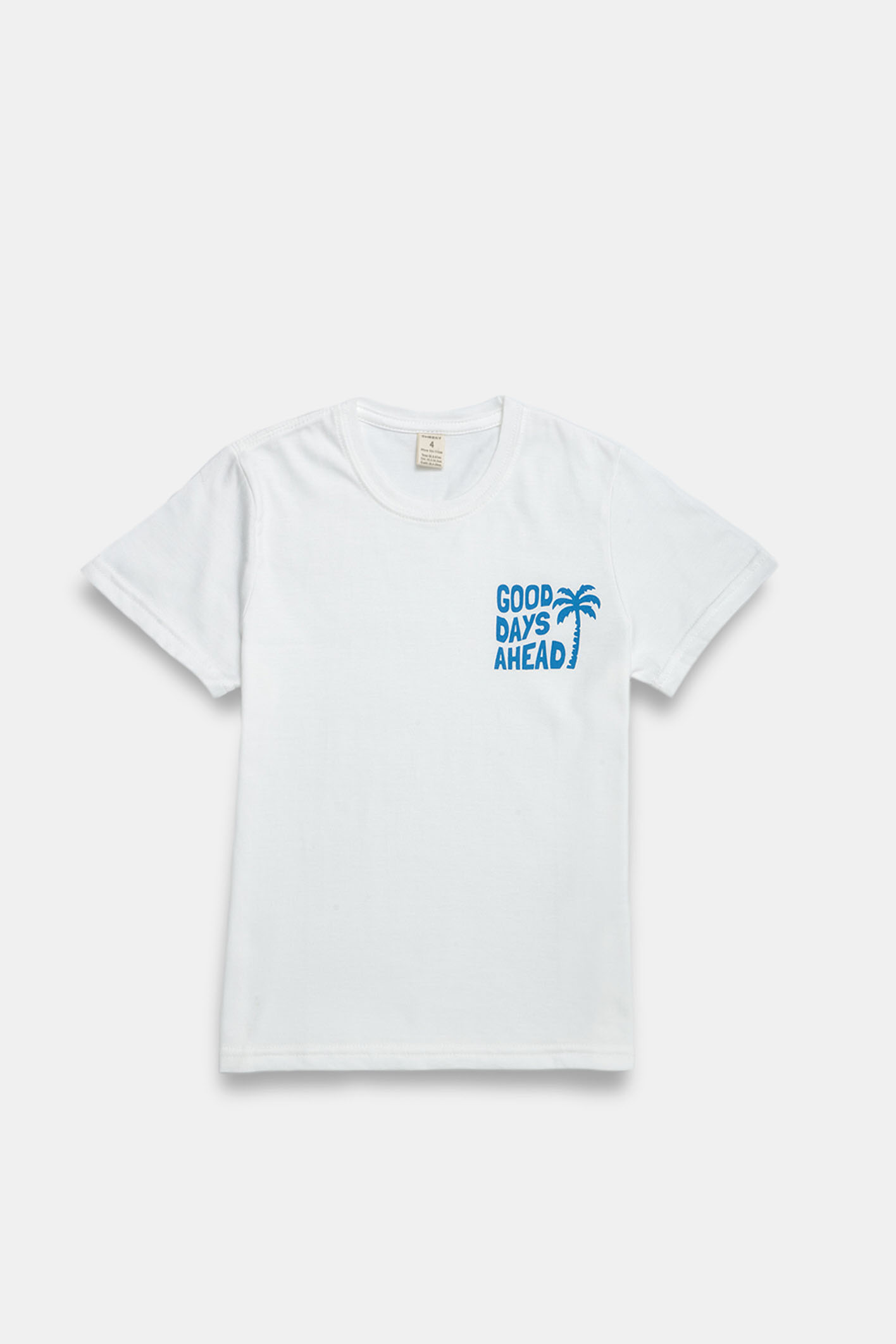 REMERA BRANDON 