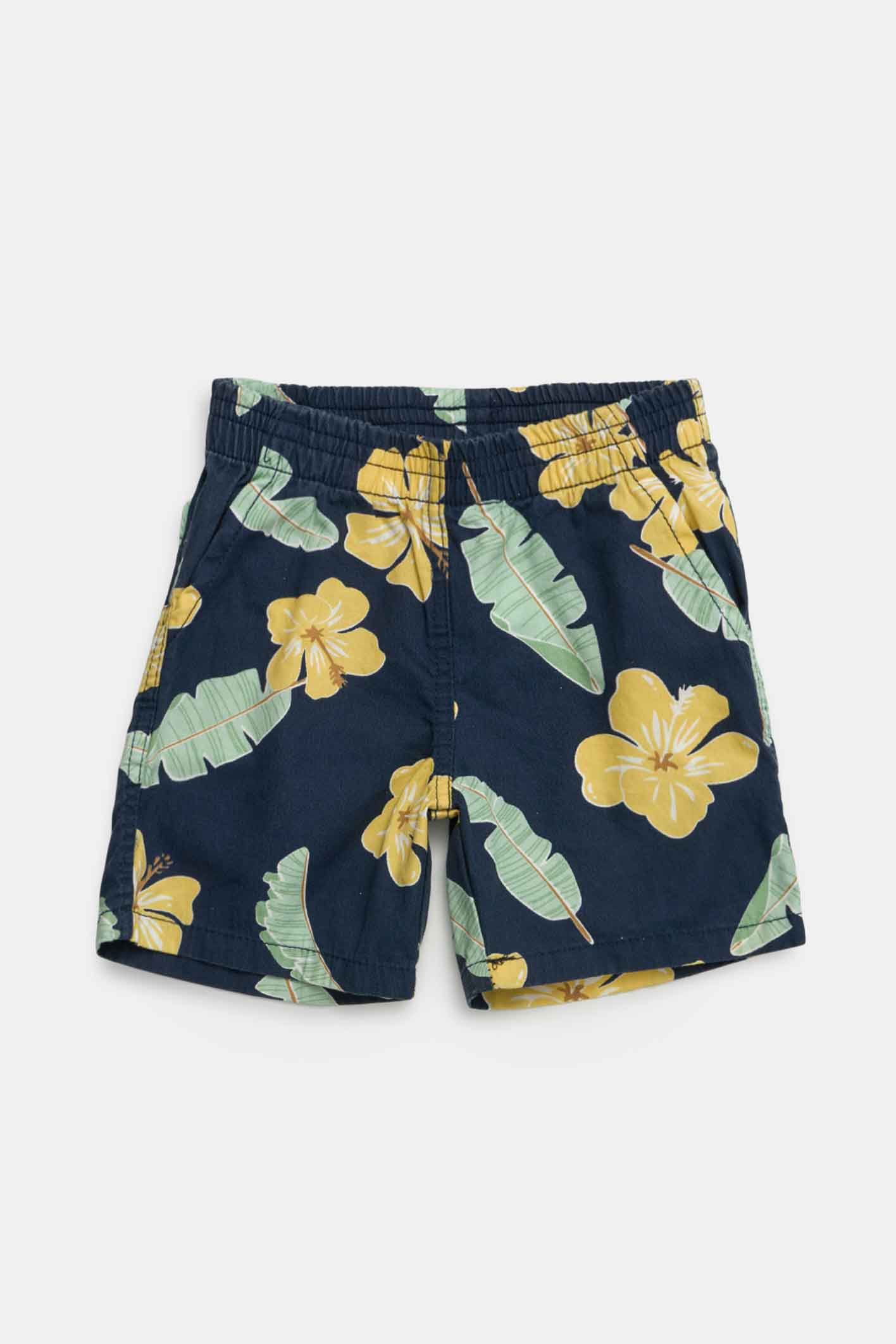 BERMUDA   FELIX 4-12