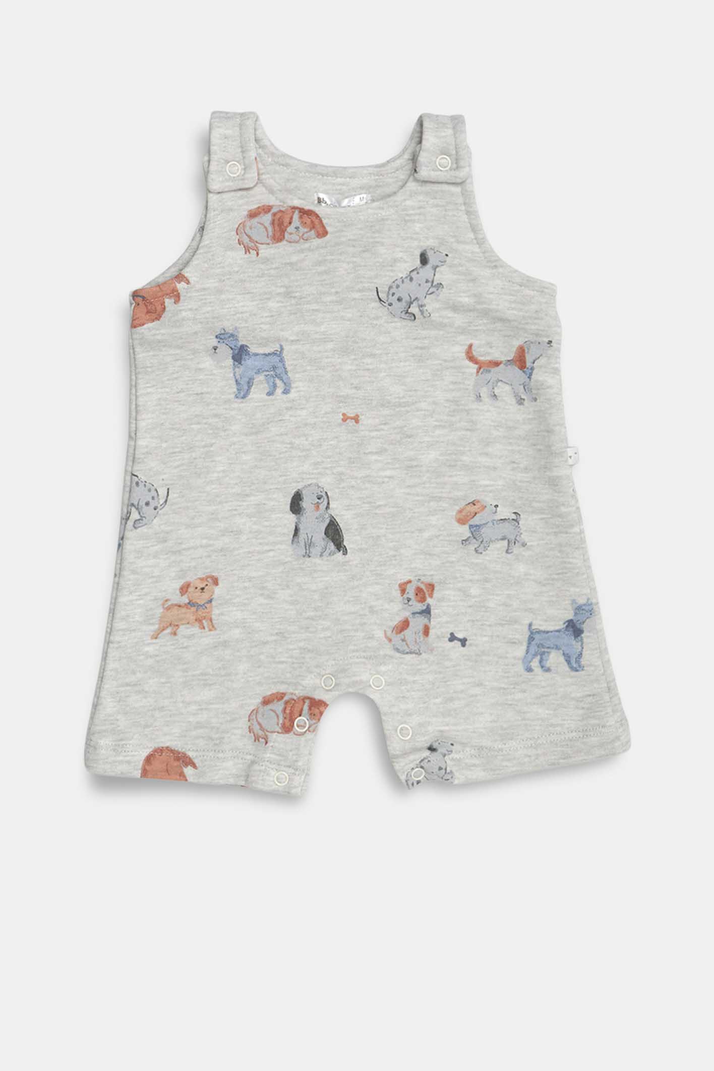 ENTERITO   MARVIN XS-L